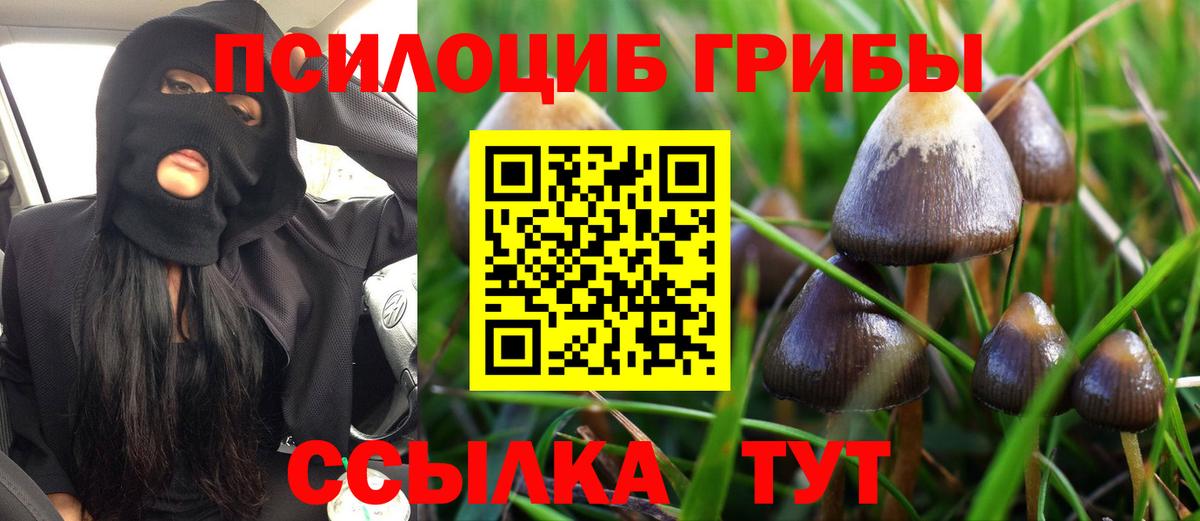 Псилоцибиновые грибы ЛСД  Вход с VPN  Унеча  Псилоцибиновые грибы Psilocybe 
